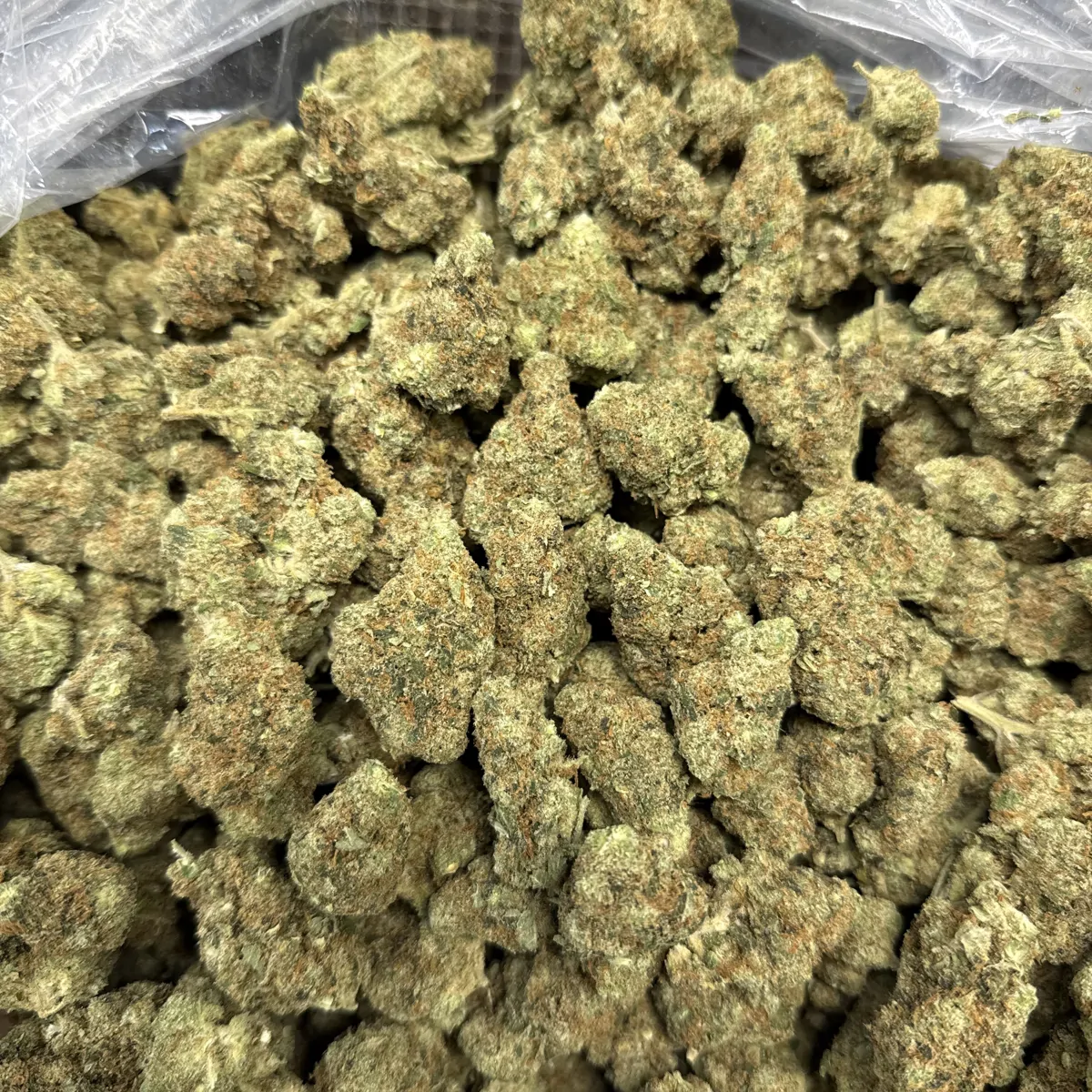 Jack Herer Flower